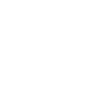 アイコン: MICROMETRIC BUCKLE
